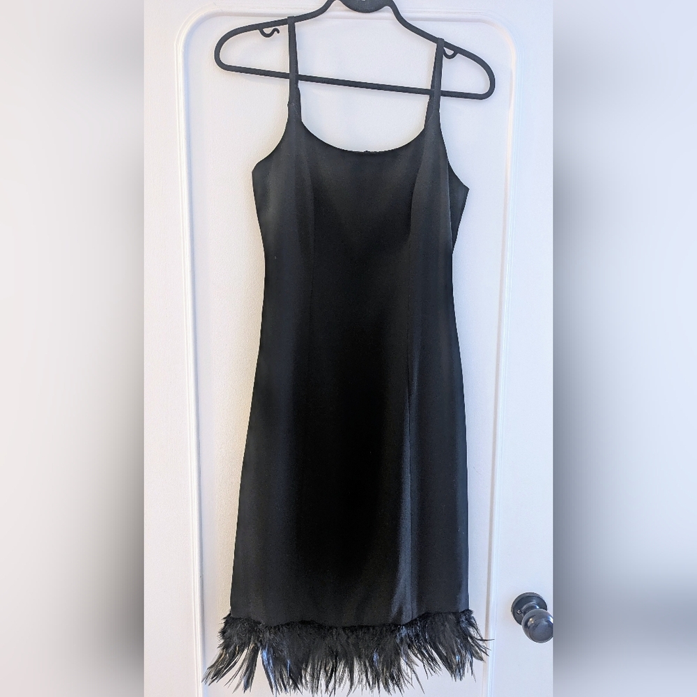 Elegant Black Feather Hem Dress